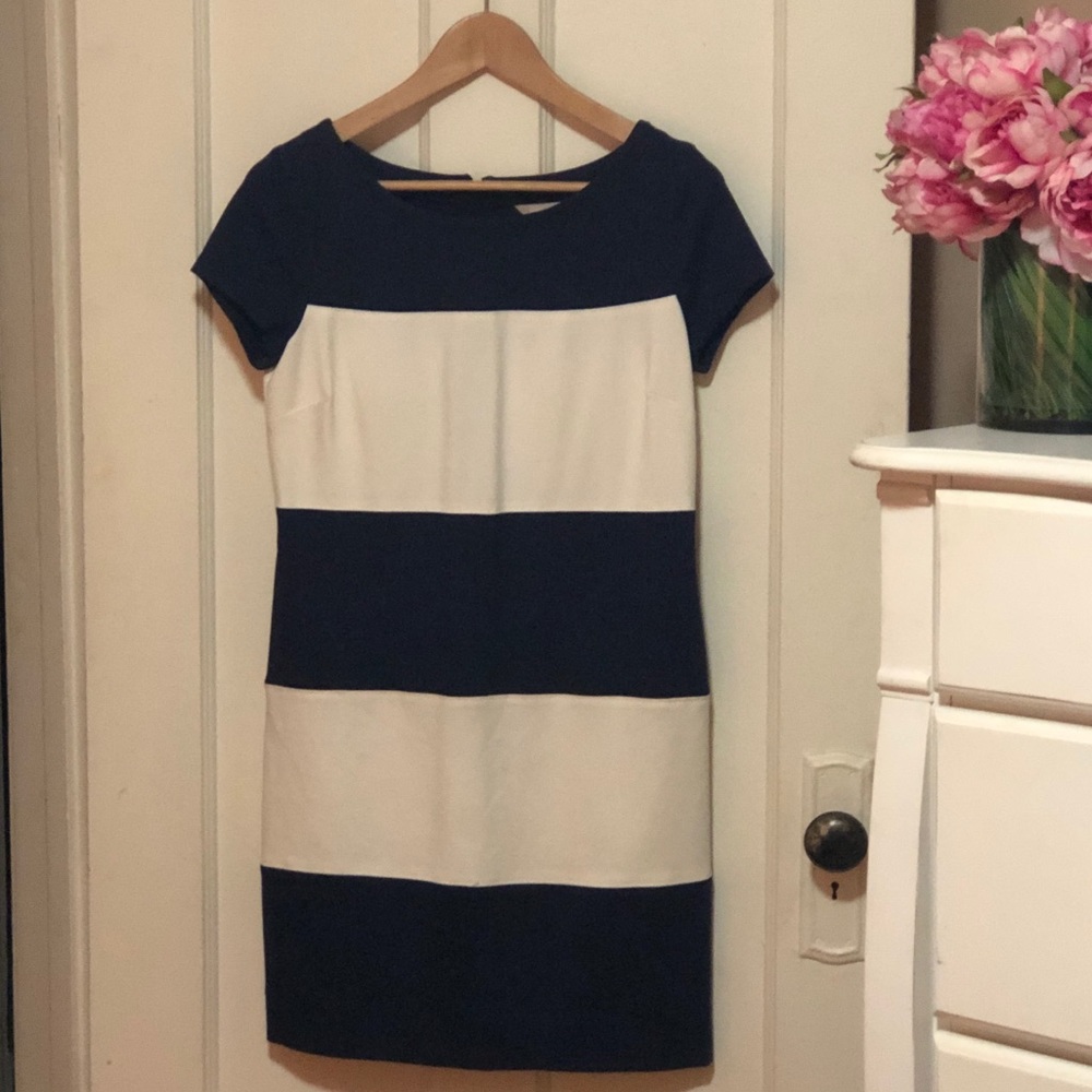 Banana Republic Navy and White Stripe Dress